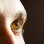 Brown human eye